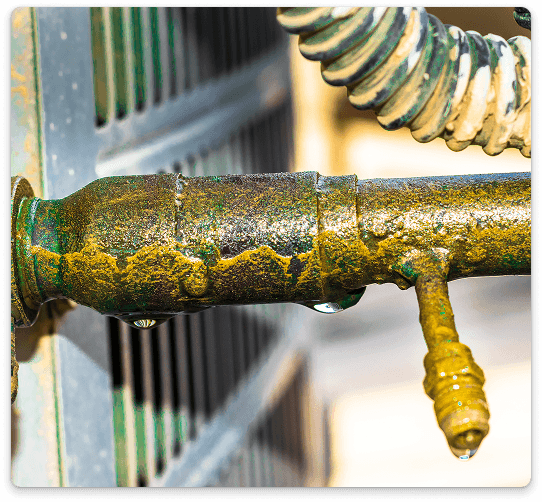 Five Star Plumbing Commercial Leak Detection in Greater San Antonio & Castroville service photo
