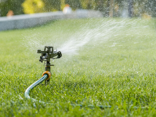 The Best Ways To Conserve Water On Landscaping