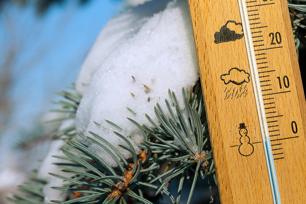 Snow gauge measuring depth